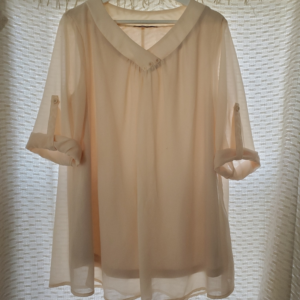 Loose Sheer Blouse